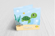 Schildpadje in zee